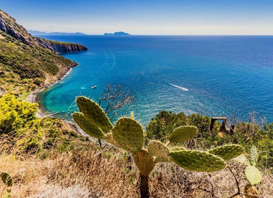 Hotel San Lorenzo Thermal Spa Forio di Ischia Εξωτερικό φωτογραφία